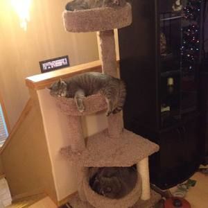 Meet your Posher, Lana